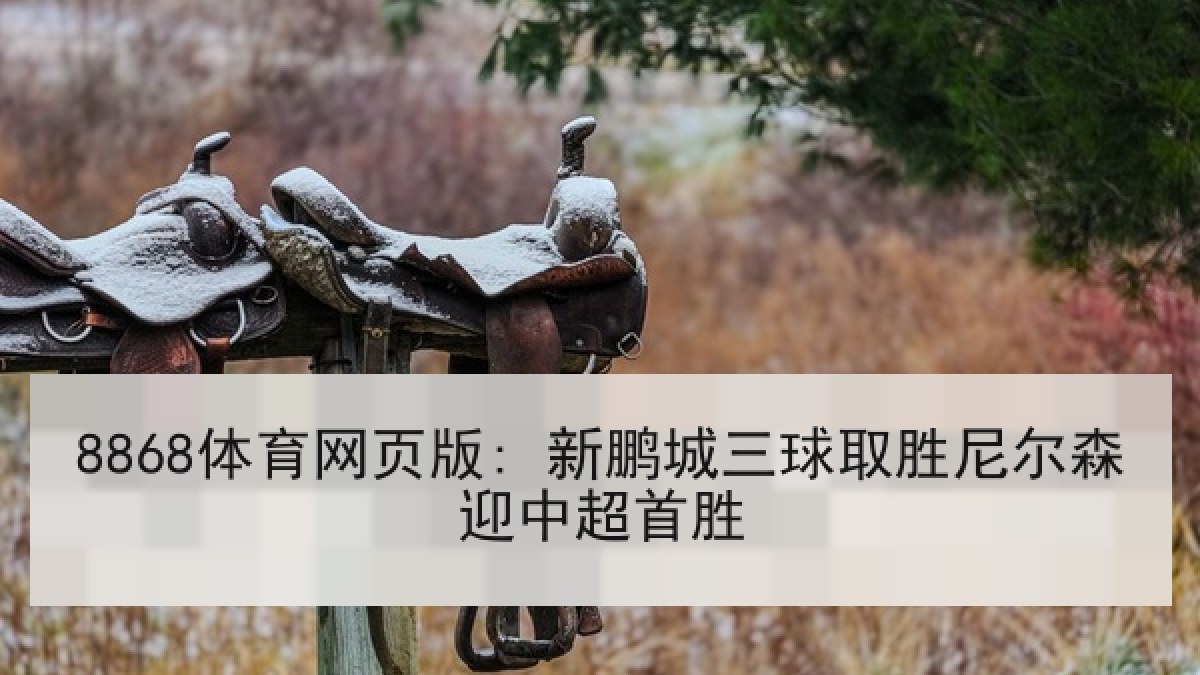 8868体育网页版: 新鹏城三球取胜尼尔森迎中超首胜 8868体育网页版: 新鹏城三球取胜尼尔森迎中超首胜
