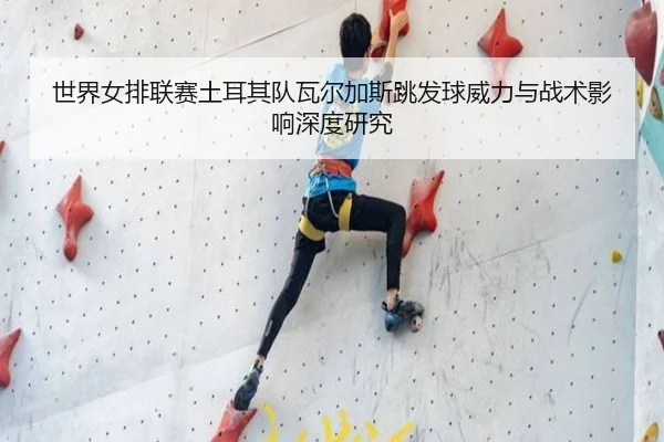 shi-jie-nv-pai-lian-sai-tu-er-qi-dui-wa-er-jia-si-tiao-fa-qiu-wei-li-yu-zhan-shu-ying-xiang-shen-du-yan-jiu-3-398.jpg